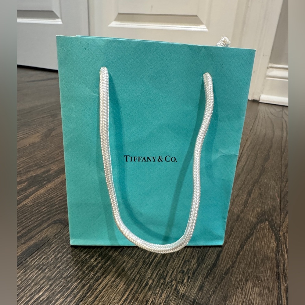 Tiffany and Co. Iconic Blue Paper Gift Bag Small